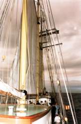 DRK - R&uuml;gen Archiv