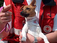 DRK - R&uuml;gen Archiv