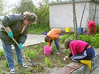 DRK - R&uuml;gen Archiv