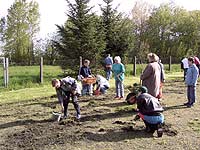 DRK - R&uuml;gen Archiv