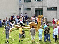 DRK - R&uuml;gen Archiv