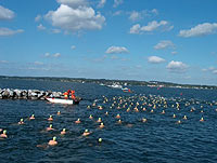 DRK - R&uuml;gen Archiv