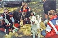 DRK - R&uuml;gen Archiv