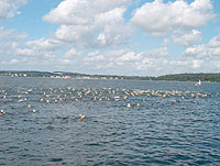 DRK - R&uuml;gen Archiv