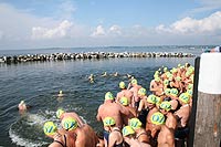 DRK - R&uuml;gen Archiv