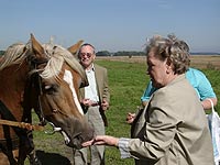 DRK - R&uuml;gen Archiv