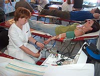 DRK - R&uuml;gen Archiv