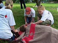 DRK - R&uuml;gen Archiv