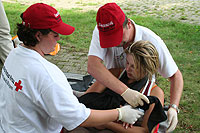 DRK - R&uuml;gen Archiv