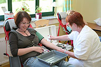 DRK - R&uuml;gen Archiv