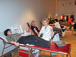 DRK - R&uuml;gen Archiv