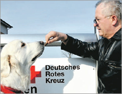 Erste Hilfe Insel R&uuml;gen