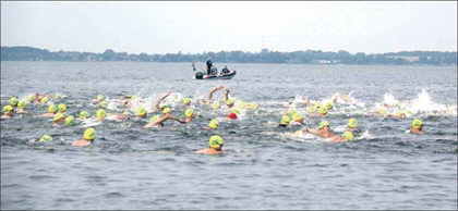 289 Schwimmer nahmen am Samstag den 2,5 Kilometer langen Kanten von der Insel Vilm nach Lauterbach in Angriff. 284 erreichten das Ziel.