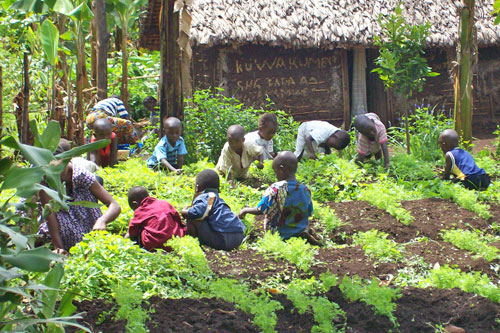 Waldkindergarten in Kongo