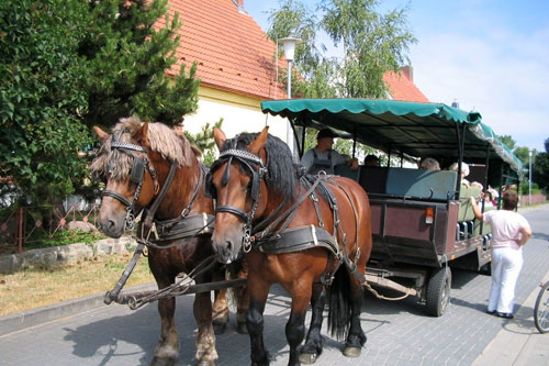 Pflegeeinrichtung Gingst 